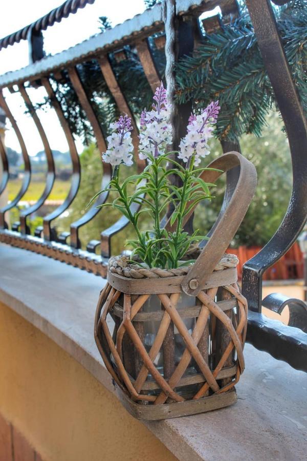 Miriale House Aeroporto Fiumicino Apartment Екстериор снимка